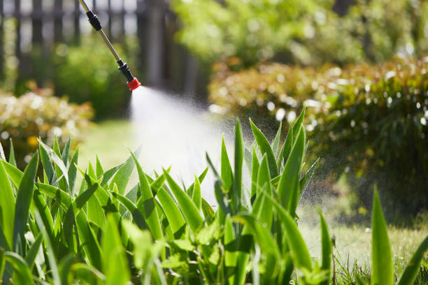 24/7 Emergency Wasp Removal experts in Baytown, TX
