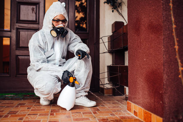 Reliable Wasp Removal contractor in Baytown, TX by Show Me Pest Control